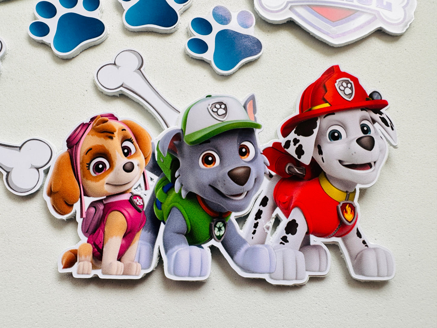 Reducer - Paw Patrol - desen med