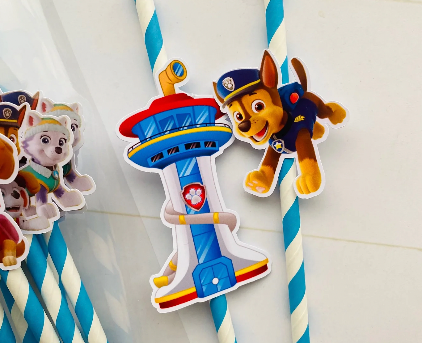 Paie - Paw Patrol