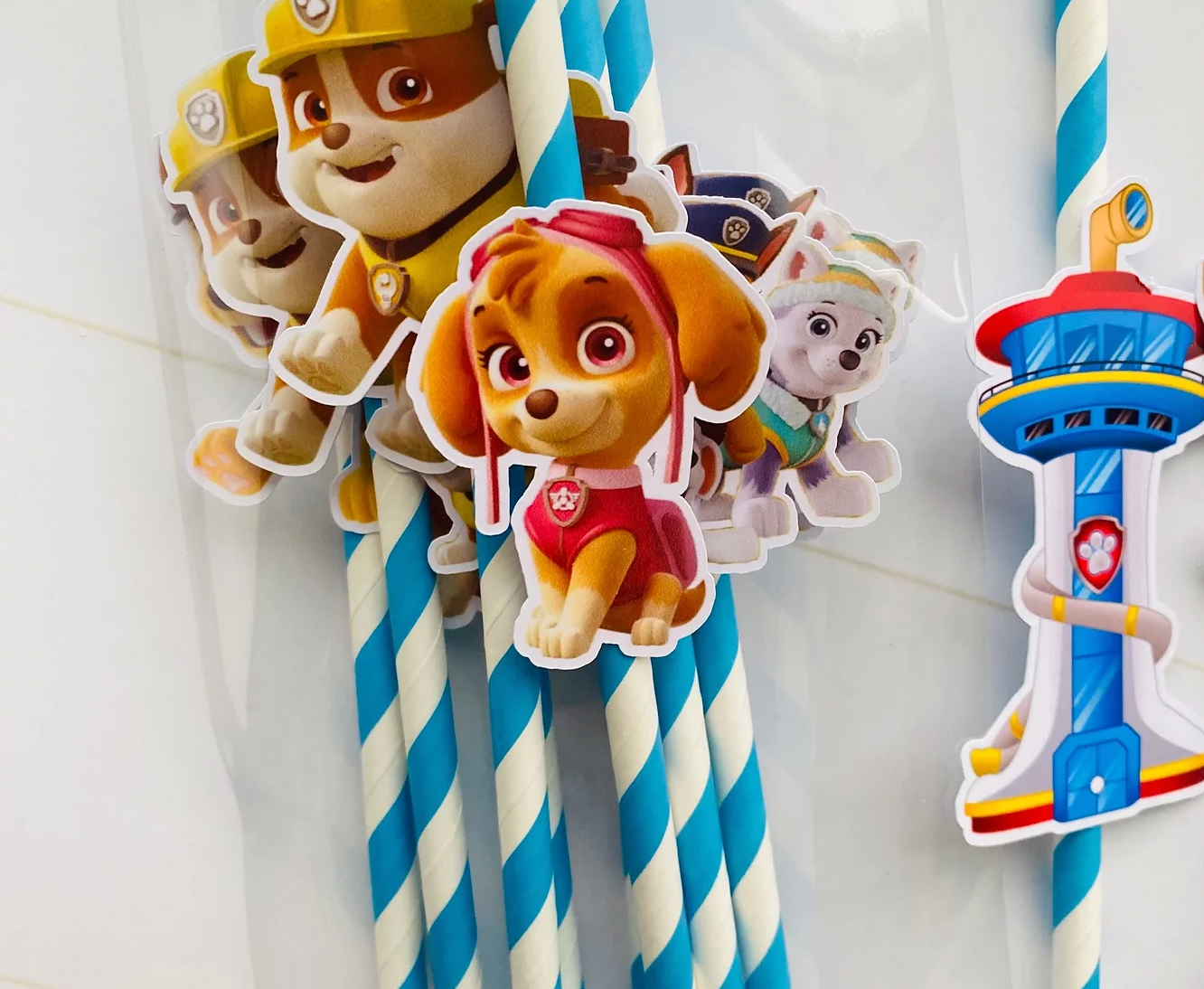 Paie - Paw Patrol