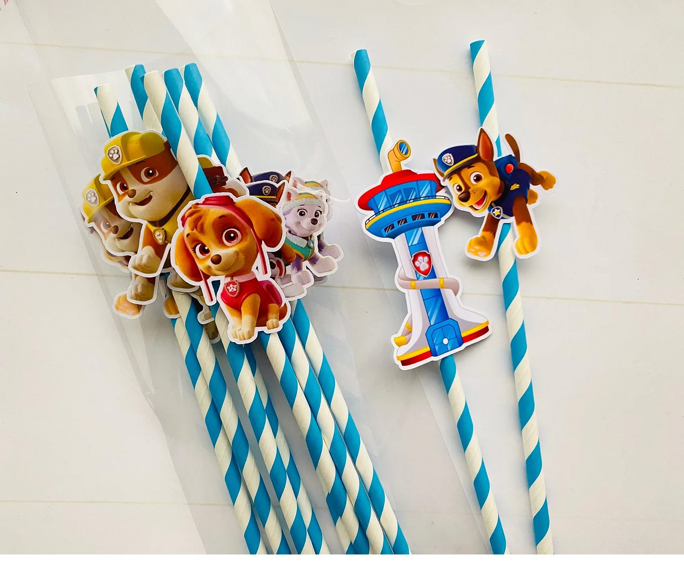 Paie - Paw Patrol