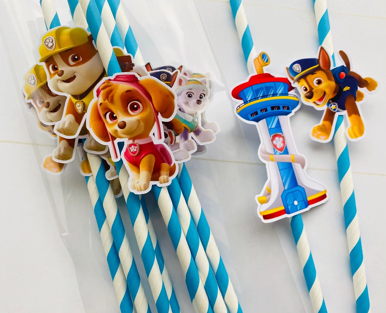 Paie - Paw Patrol