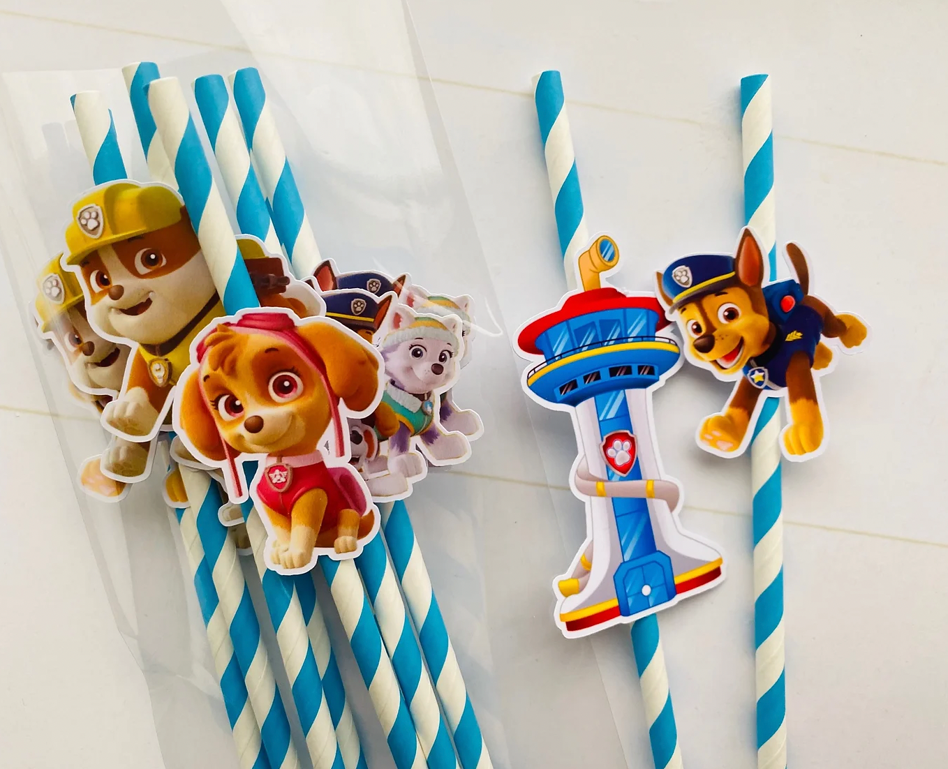 Paie - Paw Patrol