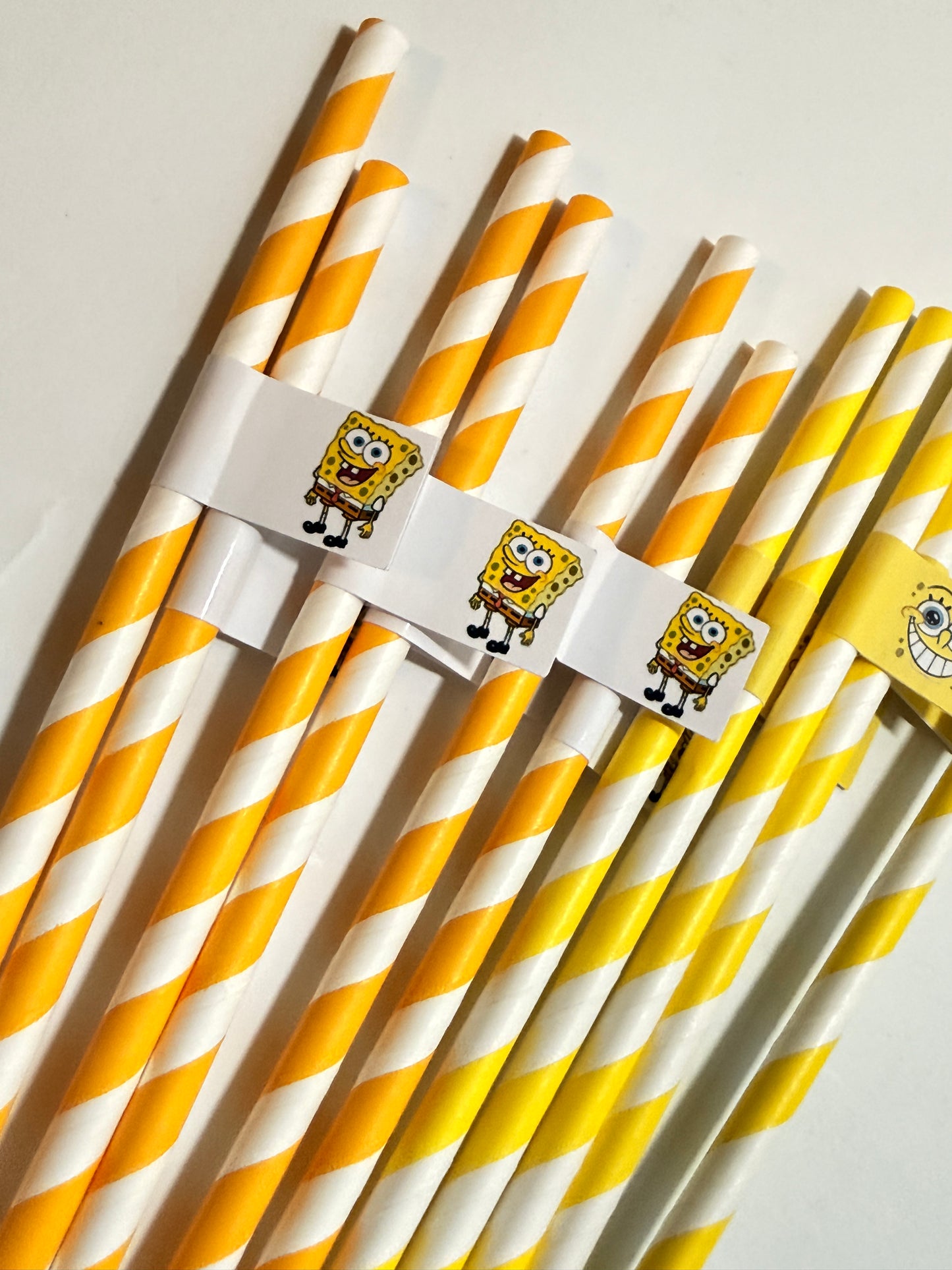 Paie  - Spongebob