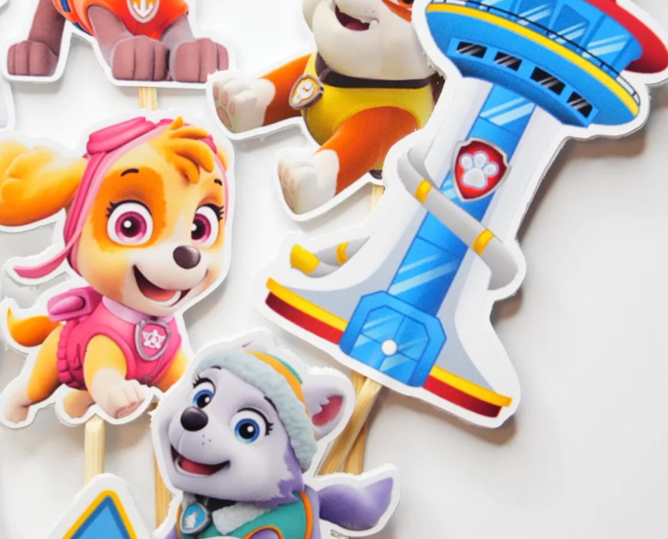 Paw Patrol - classic all