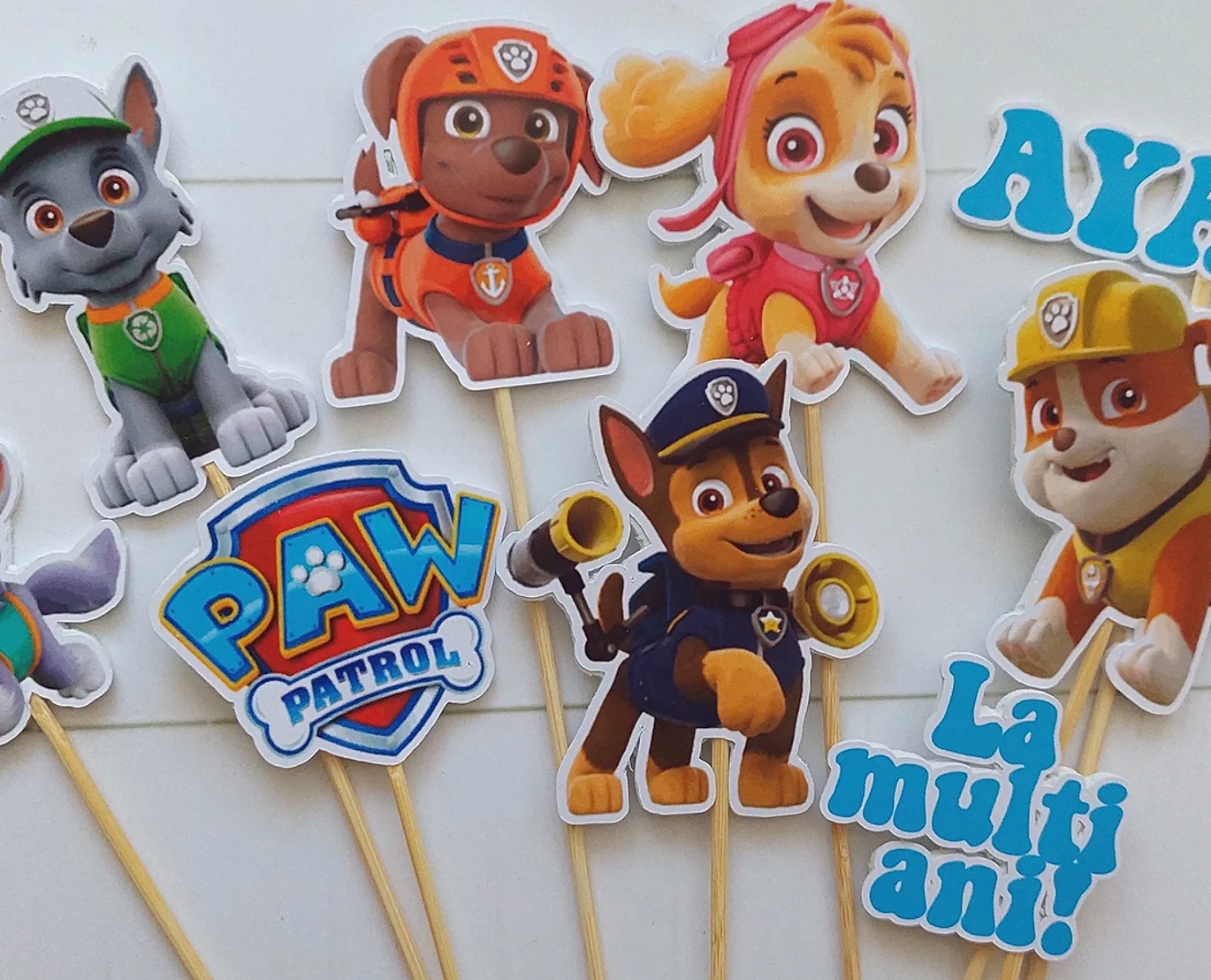 Paw Patrol - blue