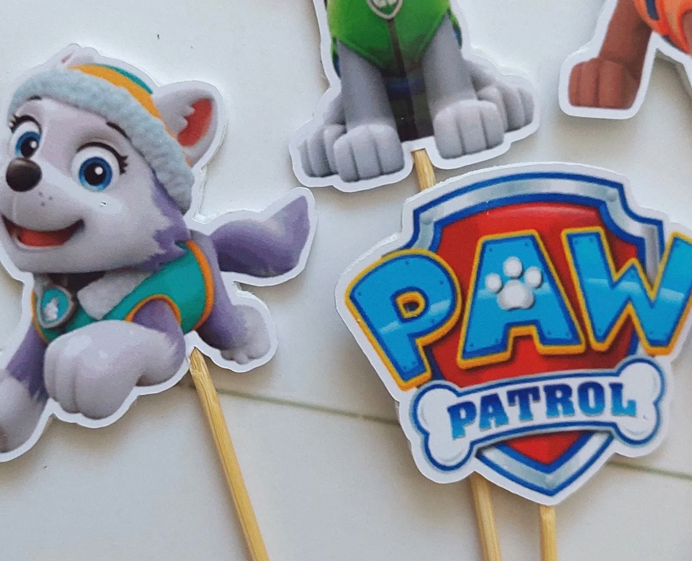 Paw Patrol - blue