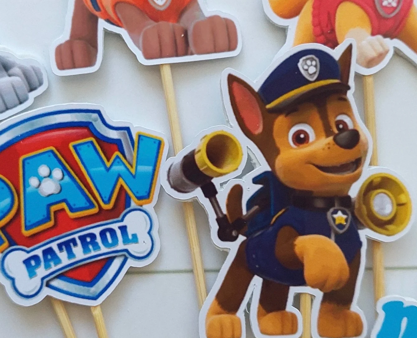 Paw Patrol - blue